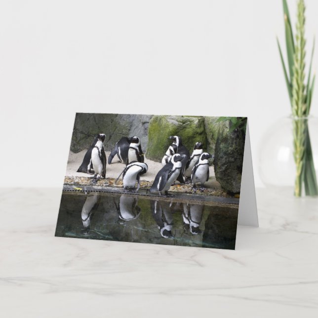 Cartão Penguin Blank Greeting Card (Frente)