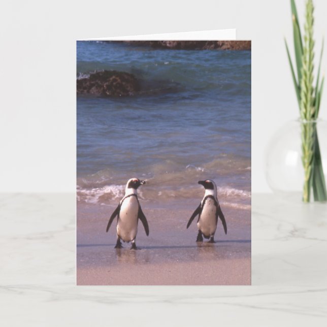 Cartão Penguin Pair on the beach Card (Frente)