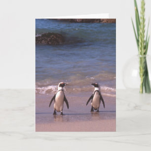 Cartão Penguin Pair on the beach Card