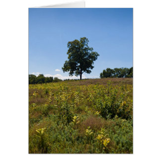 Cartão Península do rio de Shagbark Hicória-Charles