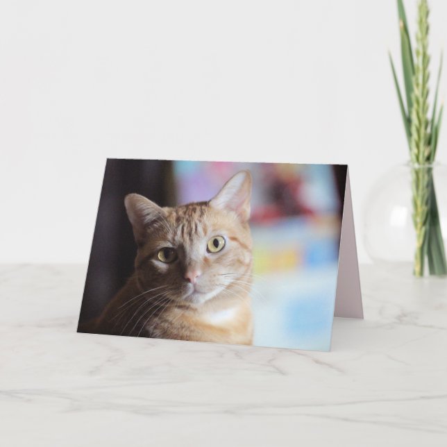 Cartão Penny (Frente)