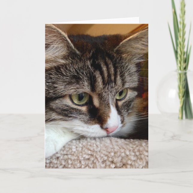 Cartão Penny For Your Thoughts Siberian Cat Note Card (Frente)