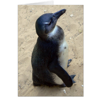 Cartão Penquim branco