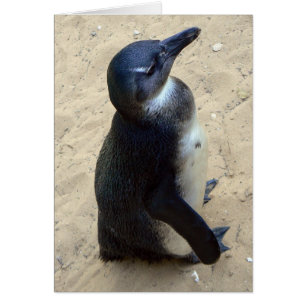 Cartão Penquin branco