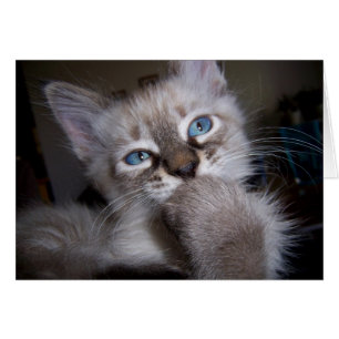 Cartão Pensador introspectivo