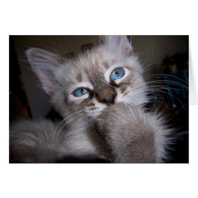 Cartão Pensador introspectivo (Frente Horizontal)