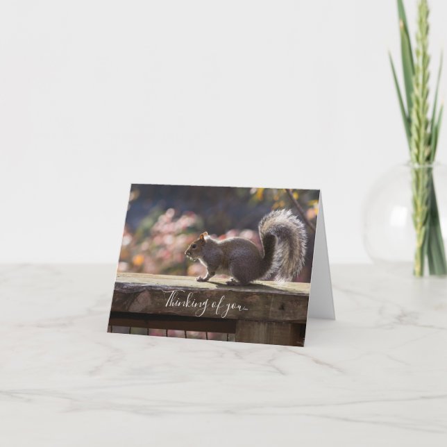 Cartão Pensamento Brilhante De Esquilo De Você (Frente)