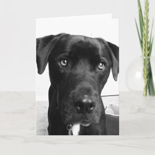 Cartão Pensamento de você (Frente)