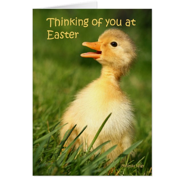 Cartão Pensamento de você na páscoa (Frente)
