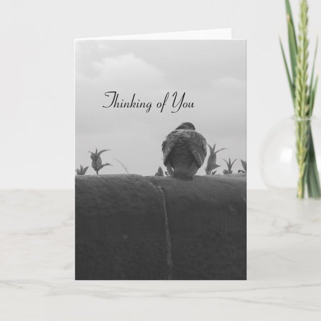 Cartão Pensamento de você pombo (Frente)
