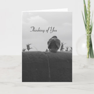 Cartão Pensamento de você pombo