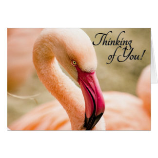 Cartão Pensamento Flamingo rosa do seu Vazio