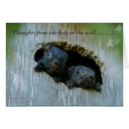 Cartão Pensamentos de nosso furo na parede ......