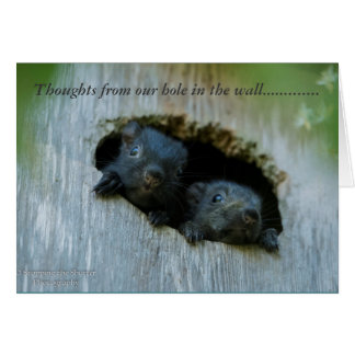 Cartão Pensamentos de nosso furo na parede ......