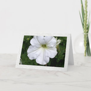 Cartão Pensamentos de você Petunia