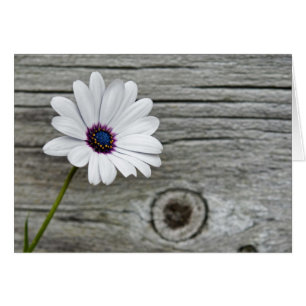 Cartão Pensamentos felizes