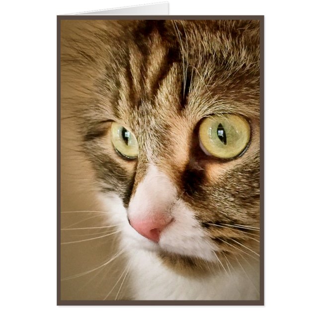 Cartão Pensamentos Siberian (cartão vazio) (Frente)