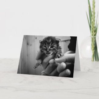 Cartão Pensando em Mew!