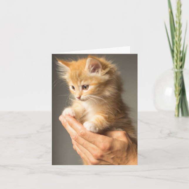 Cartão Pensando Em Seu Felpudo Quente Gato De Gato (Frente)