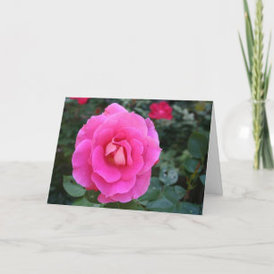 Cartão Pensando em sua carta rosa rosa rosa rosa