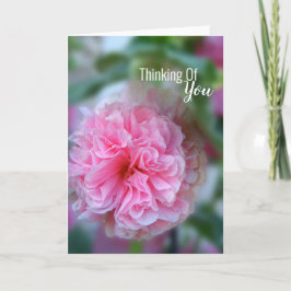 Cartão Pensando Em Sua Foto Hollyhock