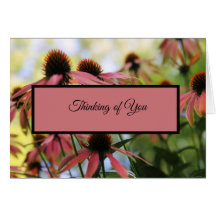 Pensando em sua oração