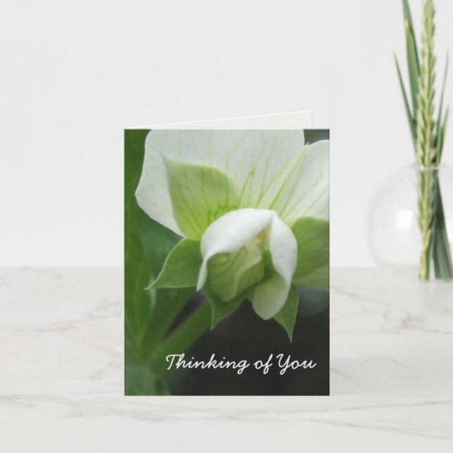 Cartão Pensando em sua placa totalmente personalizável (Frente)