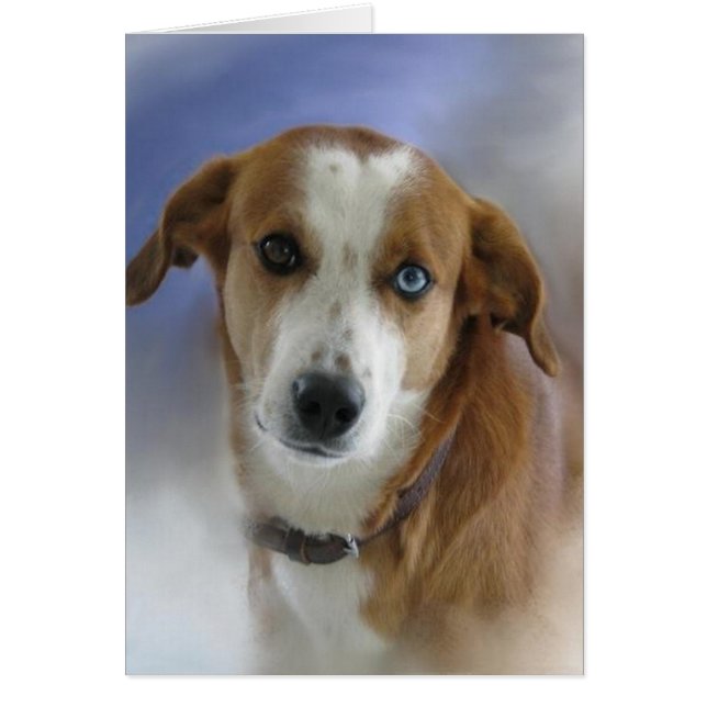 Cartão Pensando em você (Frente)