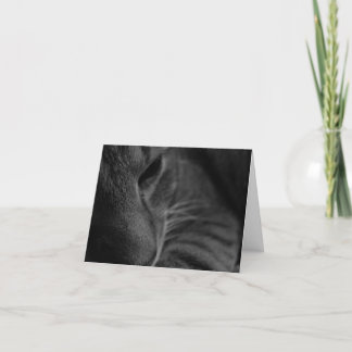 Cartão Pensando Em Você...