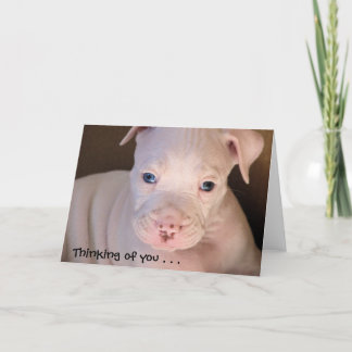 Cartão Pensando em você. .