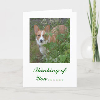 Cartão Pensando em você...