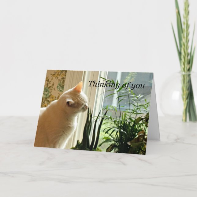 Cartão Pensando em você. (Frente)