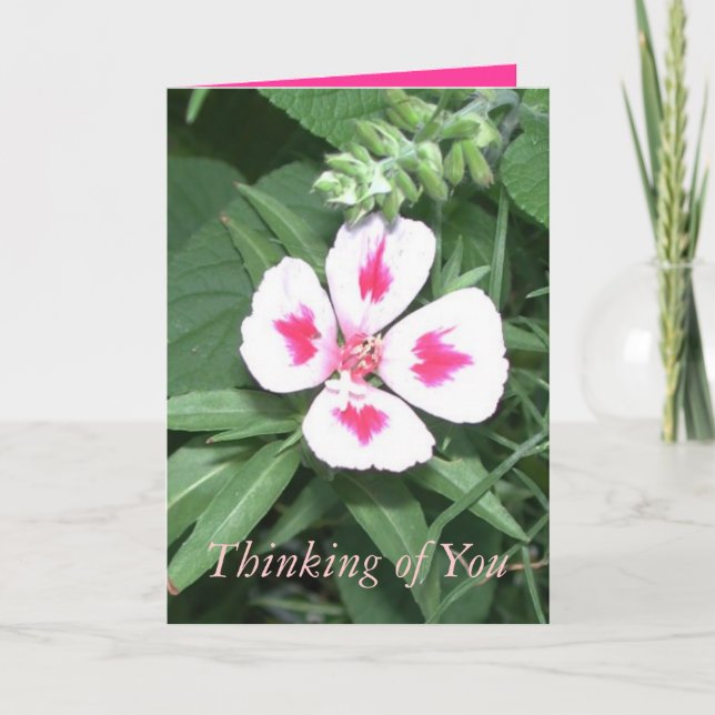 Cartão Pensando em você (Frente)