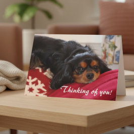 Cartão Pensando em Você Amante de Cachorros Cavalier King