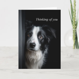 Cartão Pensando em Você Border Collie