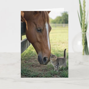 Cartão Pensando em Você Cavalo com Gatinho Listrado