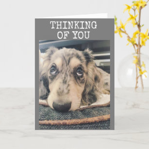 CARTÃO PENSANDO EM VOCÊ E DESEJANDO QUE VOCÊ FELIZ ANIVER