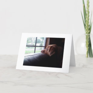 CARTÃO PENSANDO EM VOCÊ E SENDO FALTÁVEL VOCÊ DIZ: