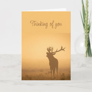 Cartão Pensando em você Elk Stag Deer Animal Morning Ligh