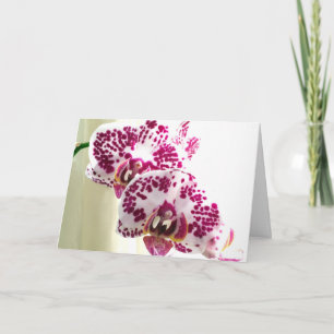 Cartão Pensando em você Foto da Orquídea Roxa Variegada