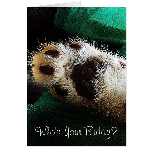 Cartão Pensando em você, Kitten Paw Fotografia Dentro (Frente)