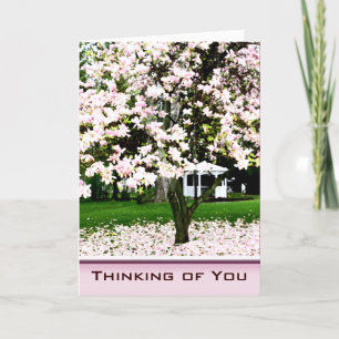 Cartão Pensando em você Magnolia Tree Greeting Card