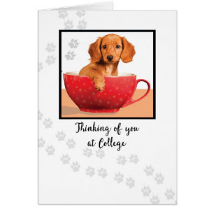 Cartão Pensando em você no Cachorro de Dachsund da Faculd
