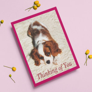 Cartão Pensando em você, o rei Charles Spaniel Puppy Car