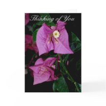 Pensando em você Poem