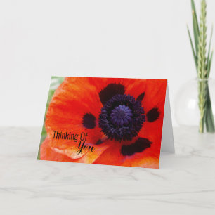 Cartão Pensando Em Você, Poppy Floral