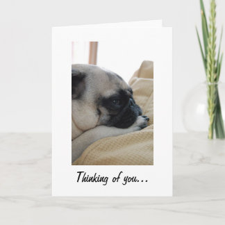 Cartão Pensando em você Pug Greeting Card