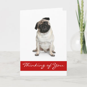 Cartão Pensando em você Pug Puppy Dog Greeting Card