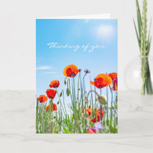 Cartão Pensando em você Red Poppy Flores Simpatia Moderna
