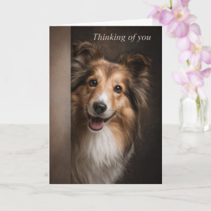 Cartão Pensando em Você Shetland Sheepdog